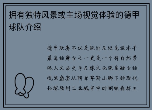 拥有独特风景或主场视觉体验的德甲球队介绍